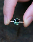 Pavé Solitaire - Natural Sapphire Ring
