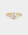 Meteorite - Diamond Ring