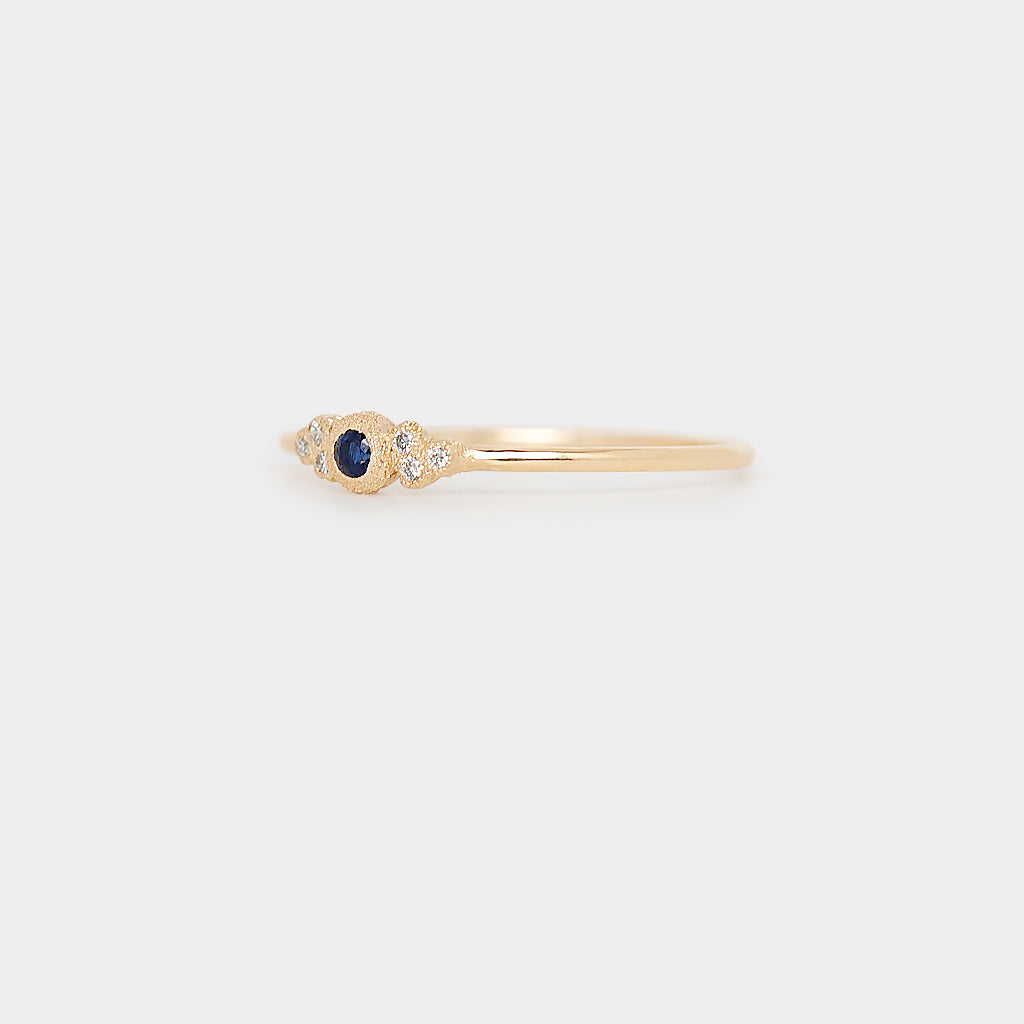 Petite Meteorite Birthstone Ring - Choose your birthstone