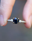Pavé Trilogy - Natural Sapphire Ring