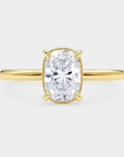Rim Diamond Ring – Cushion Lab Diamond